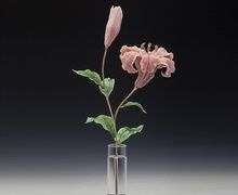 Розовая лилия. Камнерезная флористика