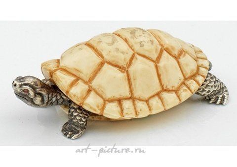 Russian silver, Miniature turtle