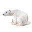 Сидящий полярный белый медведь. Дания, г. Копенгаген, Bing & Grondahl, 1915г.