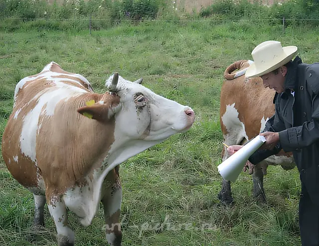 «Drawing Lesson», 2007, video performance. Outskirts of Graz, Austria