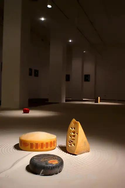 捕鼠行动（与A. 莫纳斯特尔斯基合作），2004年，装置艺术