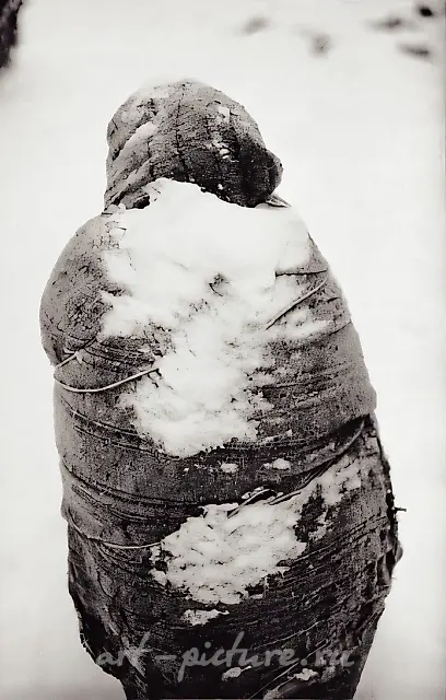 From «Fisherman-Plants», 2000