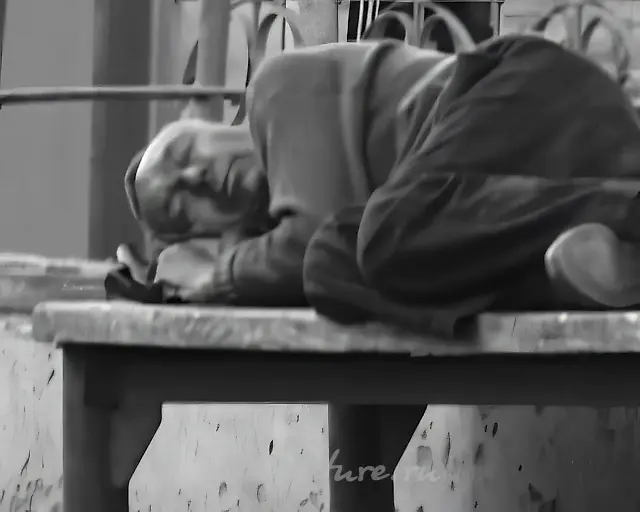 «Festive Dream», 2005, video