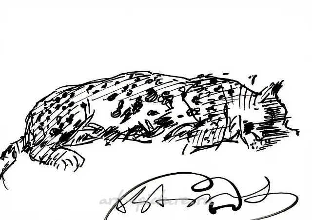 Tired snow leopard., 1964, paper, flomaster, 20х29