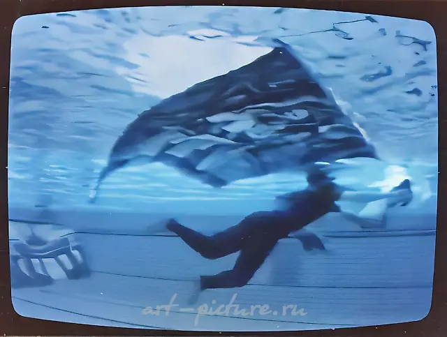 Germany`s Atlantis, 1996. Underwater installation. Olympia Stadium, Berlin. Filming by Deutsche Welle International TV (exhibition sponsor)