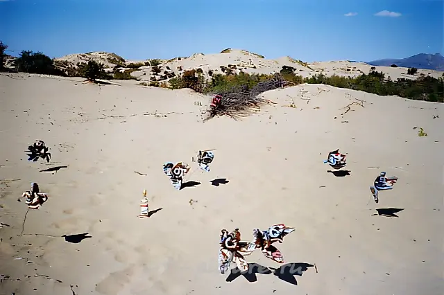 Greening of the Gobi Desert with Newspaper Flowers, 2002. Mongolia, 2002
