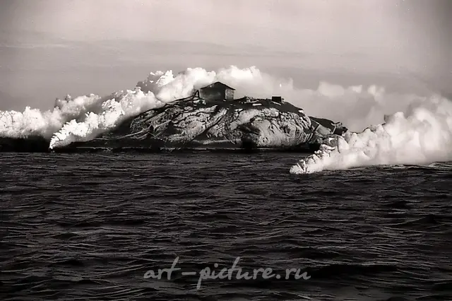 Action «Maya. Lost Island», 2002, action