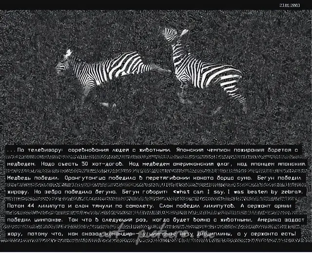 电视杂音，2007年，灯箱，印刷，胶片，声音，20x297毫米。摄于“2007年康定斯基奖”展览。