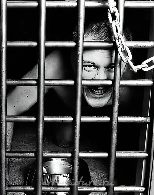 I Bite America and America Bites Me, 1997,  , 164,5х131,5.
