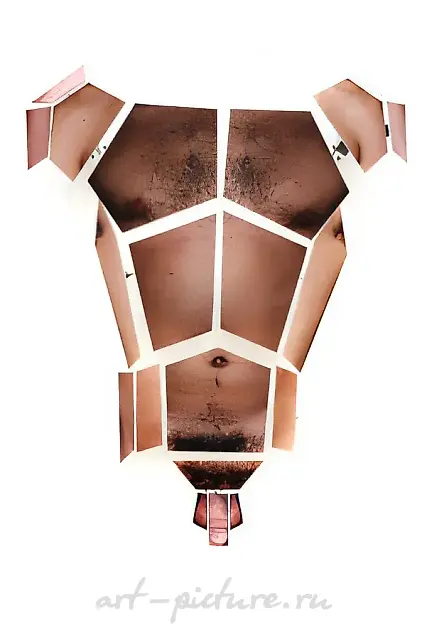 盔甲。选自《身体空间》项目，1995年，彩色照片、有机玻璃，150×80厘米，作者所有。