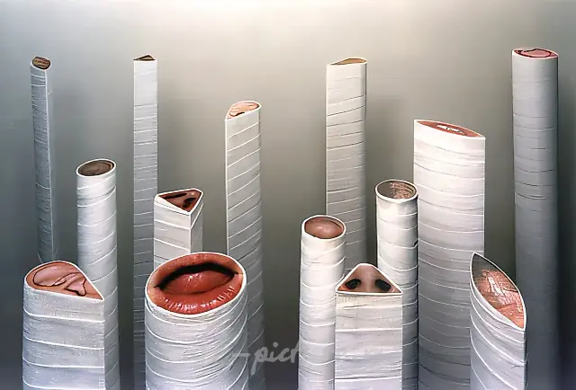 孔洞。《身体空间》项目，1995年，彩色摄影、木材、绷带，H=125厘米，20件。作者自藏。