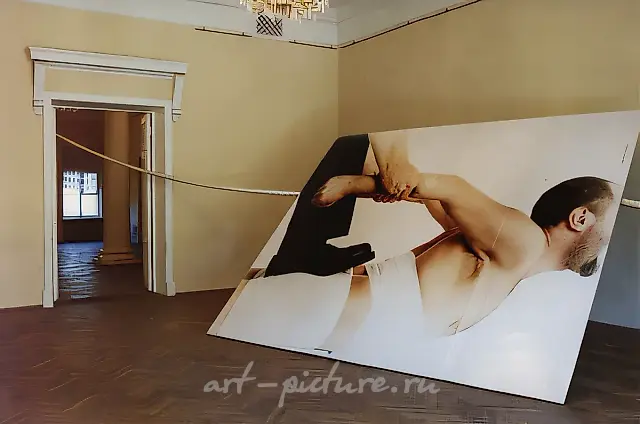 脊柱受伤。展览全景，1995年，彩色照片、船用绳索、木板，450×300厘米，作者所有。