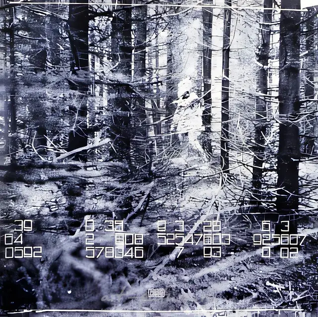 FENSO LIGHTS, 1993, Photo, 135x120 cm Authors’ property