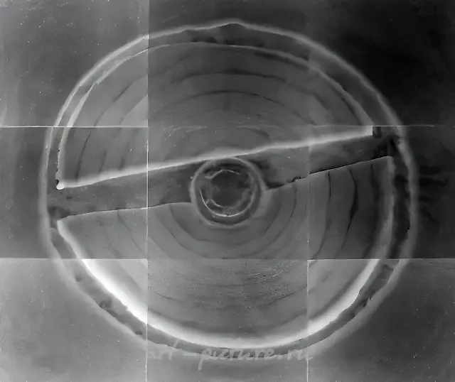 Без названия, 1991, Ч/Б фотография, 48х55 см Собственность автора