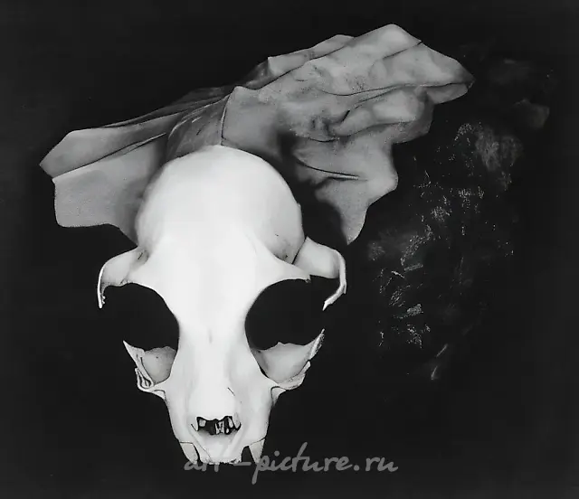 Без названия, 1994, Ч/Б фотография, 50х60 см Собственность автора