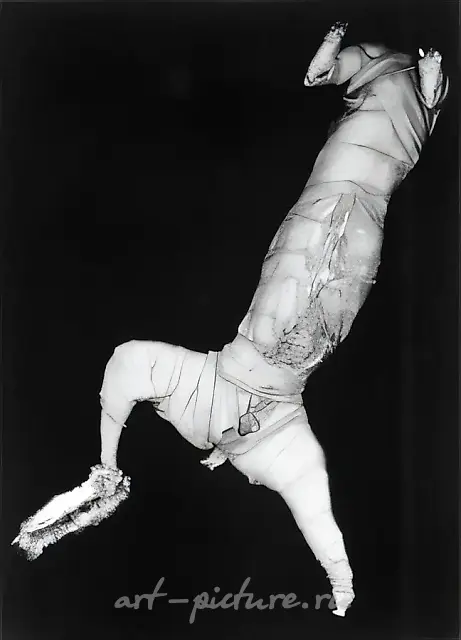 Без названия, 1995, Ч/Б фотография, 60х30 см Собственность автора