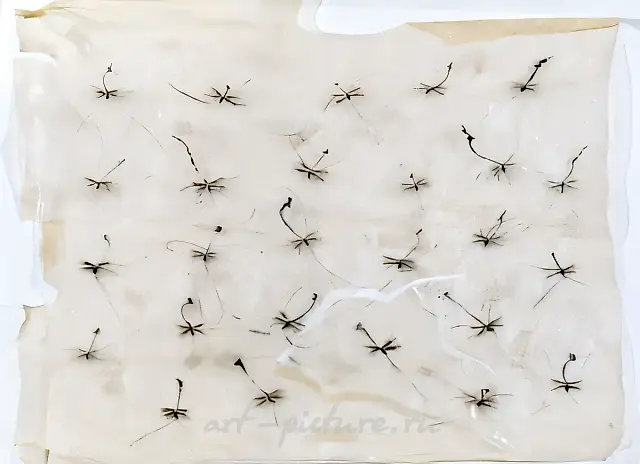 Insects, 1992, paper, water-colour, 60x85 cm. Author`s property