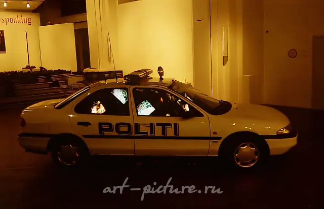 HOT POLICE DOG, 1995, video installation