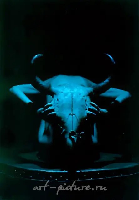 Bull`s Forehead, mixed media, 43x63