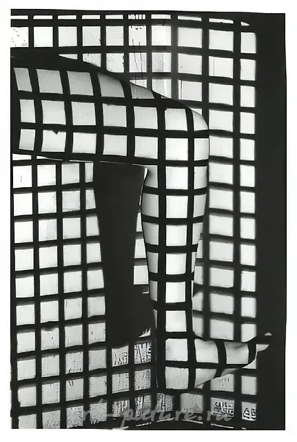 Projection, 1993, B/W photo, 100x150 cm Author`s property
