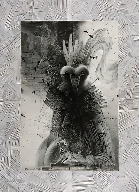 人类之王，1994年，混合媒介，自动平版印刷，87x58，作者所有