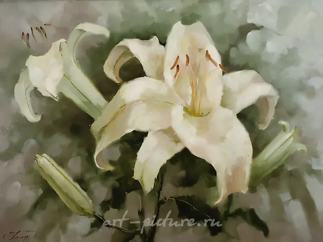 White Lily, 1997, canvas, oil, 60x80
