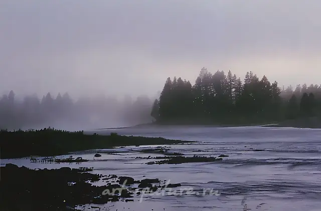 Белая ночь. Река Авам. Курейка., 1996, цветная фотография, 10х15 Собственность автора