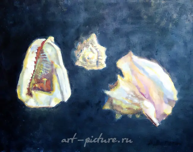 Shells, 1997, canvas, oil, 50x61