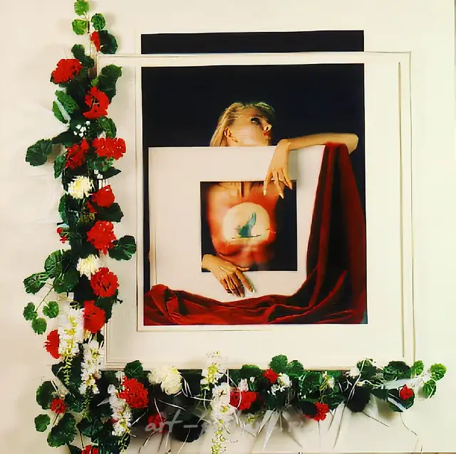 日落，1993年，身体艺术，123×123。作者自藏。