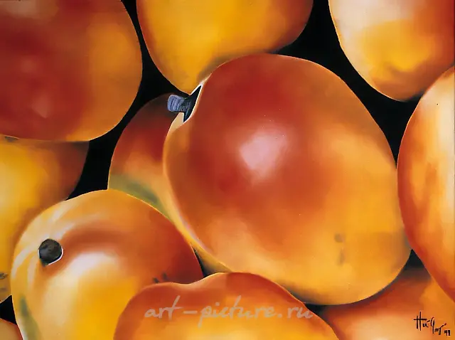 Mango, 1999, canvas, oil, 98x78