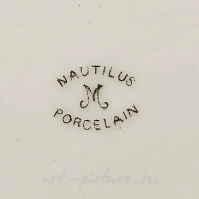 Nautilus/鹦鹉螺/
