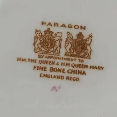 gon 代表