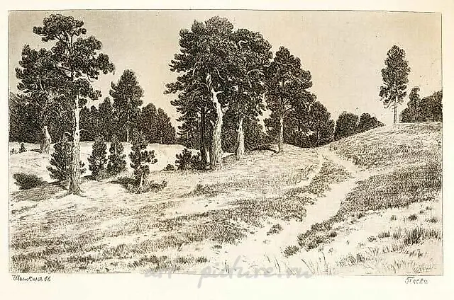 Etching: history of origin and varieties