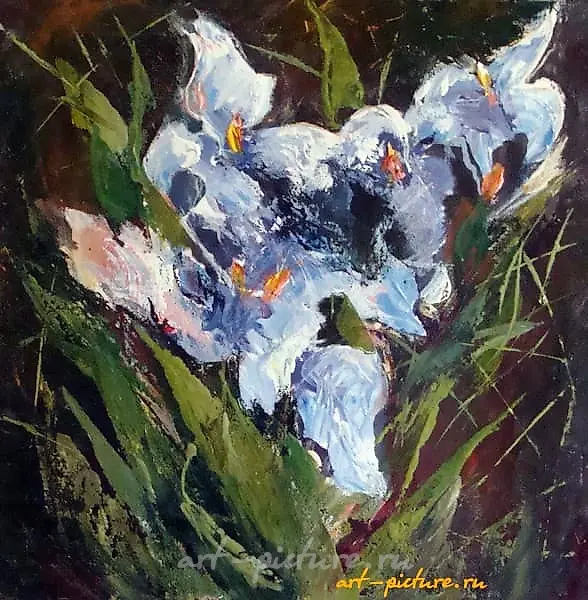 "Iris oil, canvas."