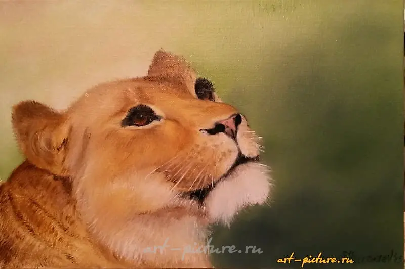 The translation of the text "Львица масло, холст на картоне" into English is "Lioness oil, canvas on cardboard."