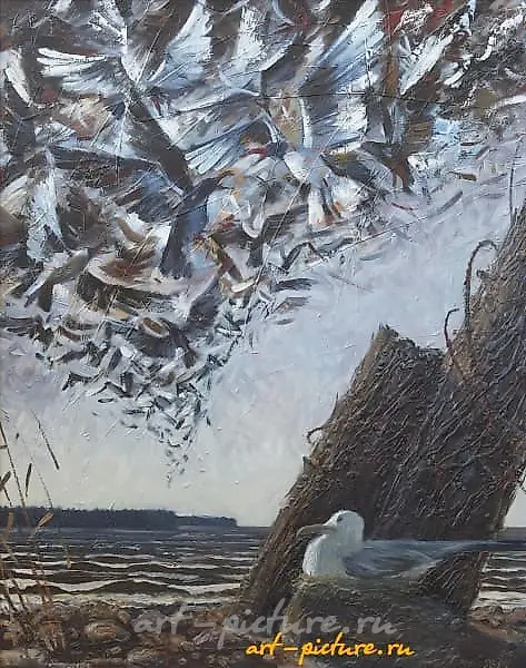 Птицы масло, холст 
