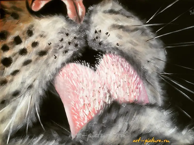 "Macro oil, canvas"