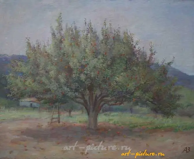 Старая груша. Холст, масло. 52 х 65 см