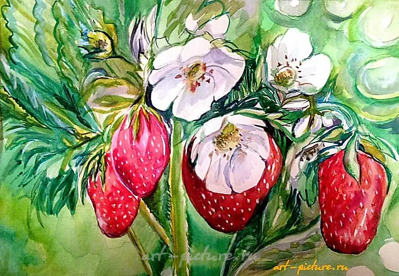 клубника бумага, акварель 