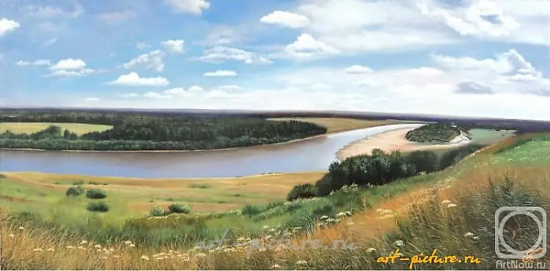 Русские просторы Масло,холст 