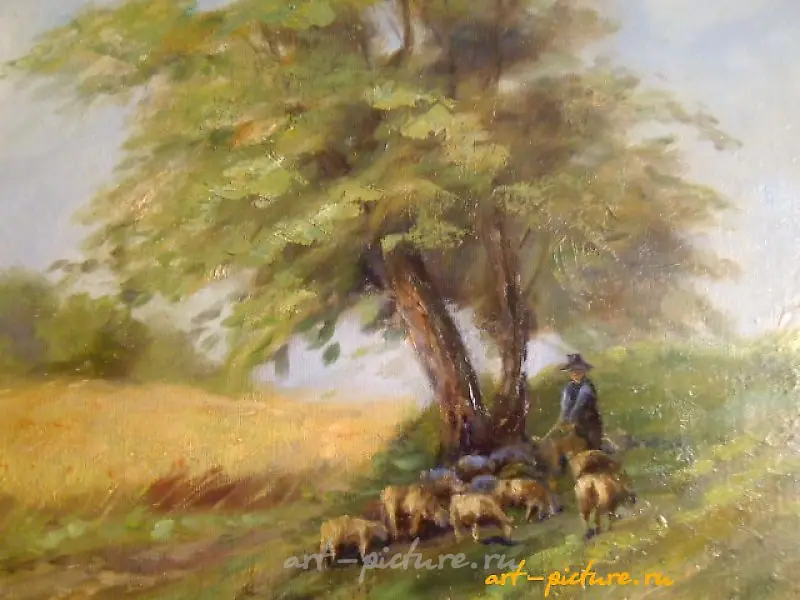 Rural landscape, canvas, oil. 60 x 80 cm.