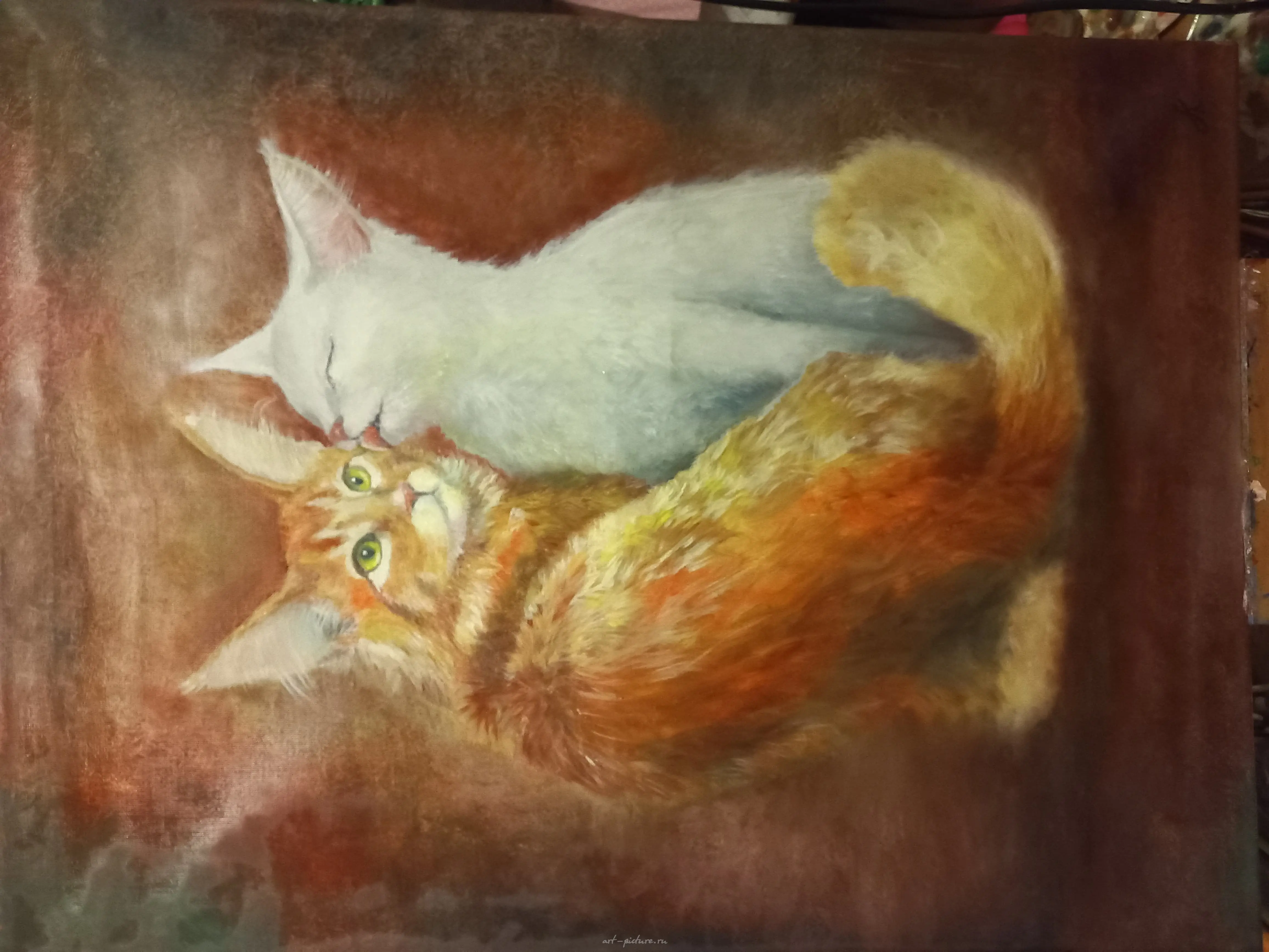 Любовь кошек — фото 2