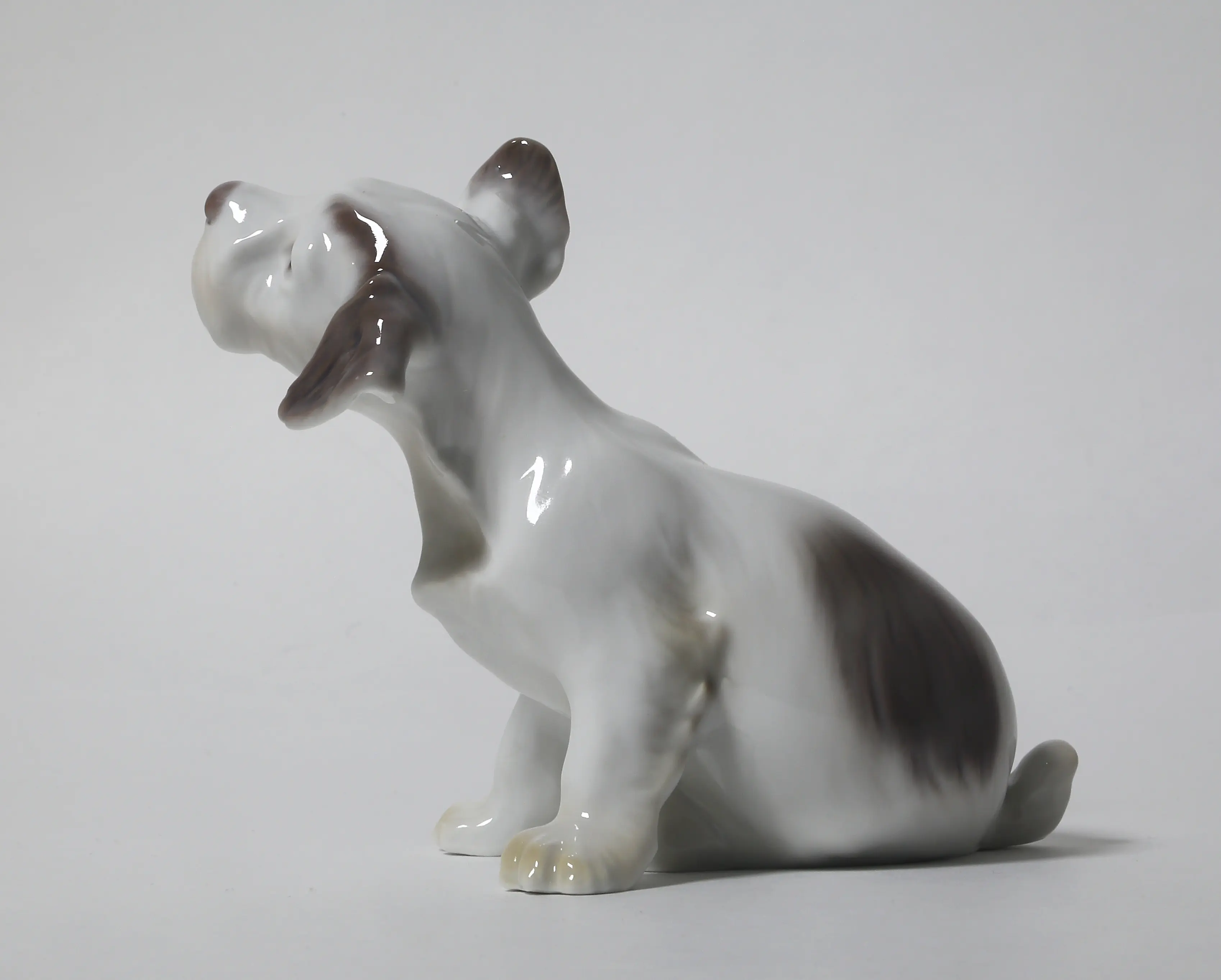 A puppy of the Sealyham Terrier. Denmark, Copenhagen, Bing & Grondahl. — photo 4