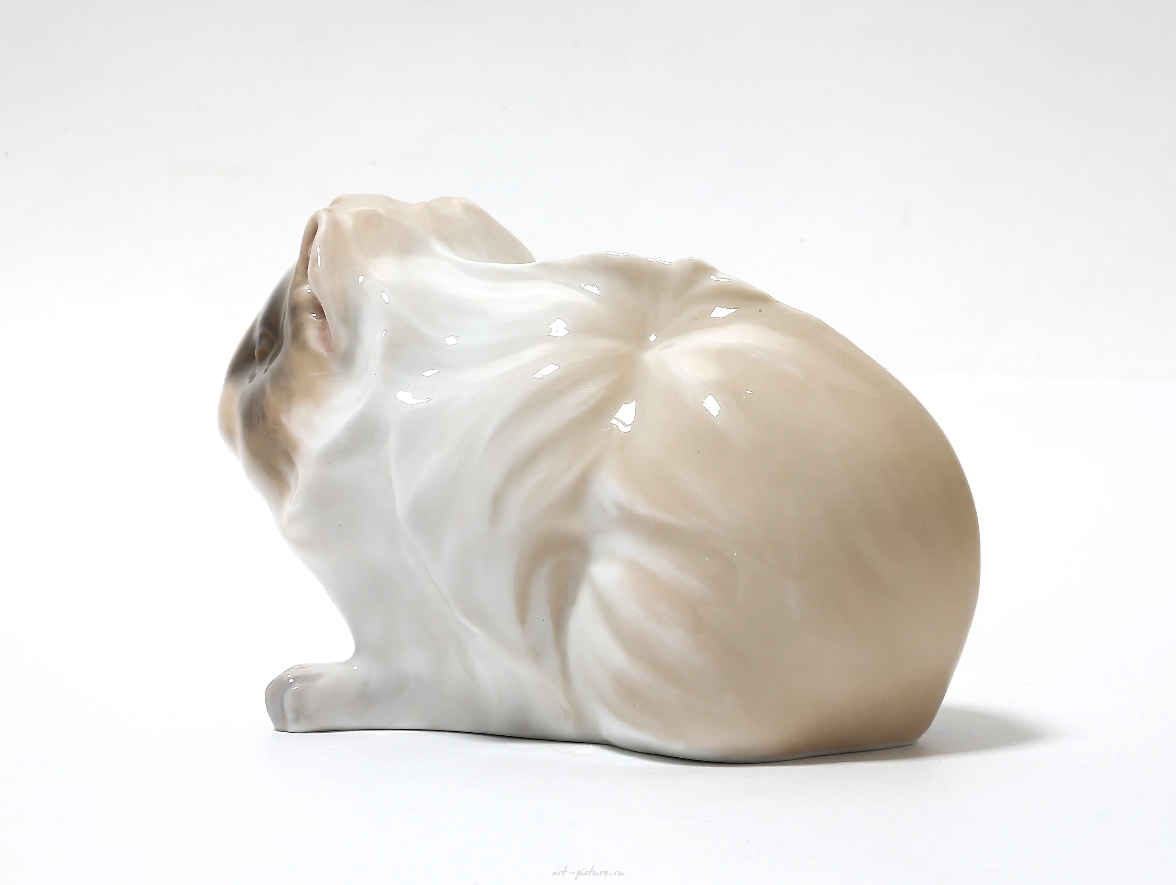 Guinea pig. Denmark, Copenhagen, Royal Copenhagen, 1898-1923. — photo 4