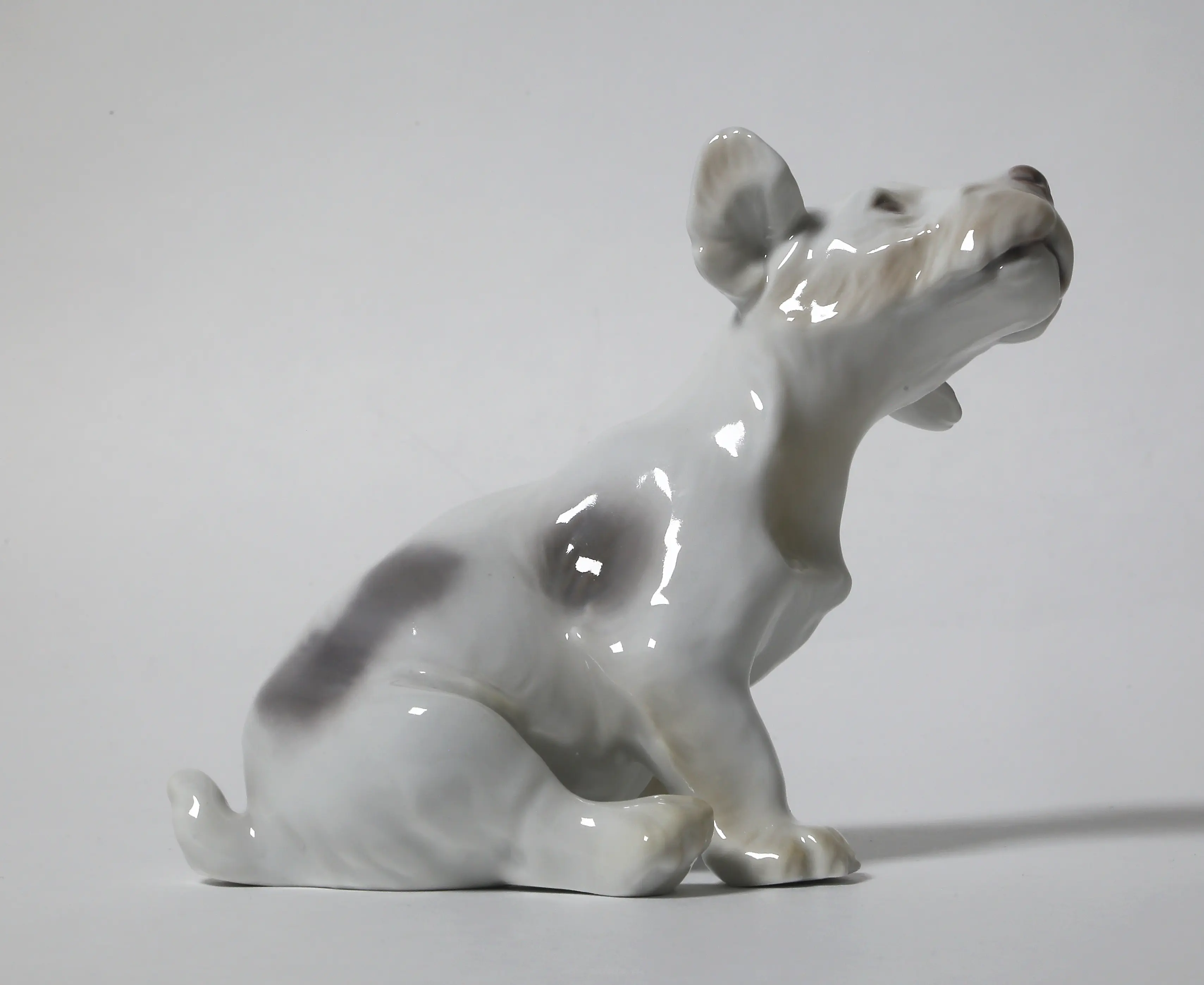 A puppy of the Sealyham Terrier. Denmark, Copenhagen, Bing & Grondahl. — photo 5