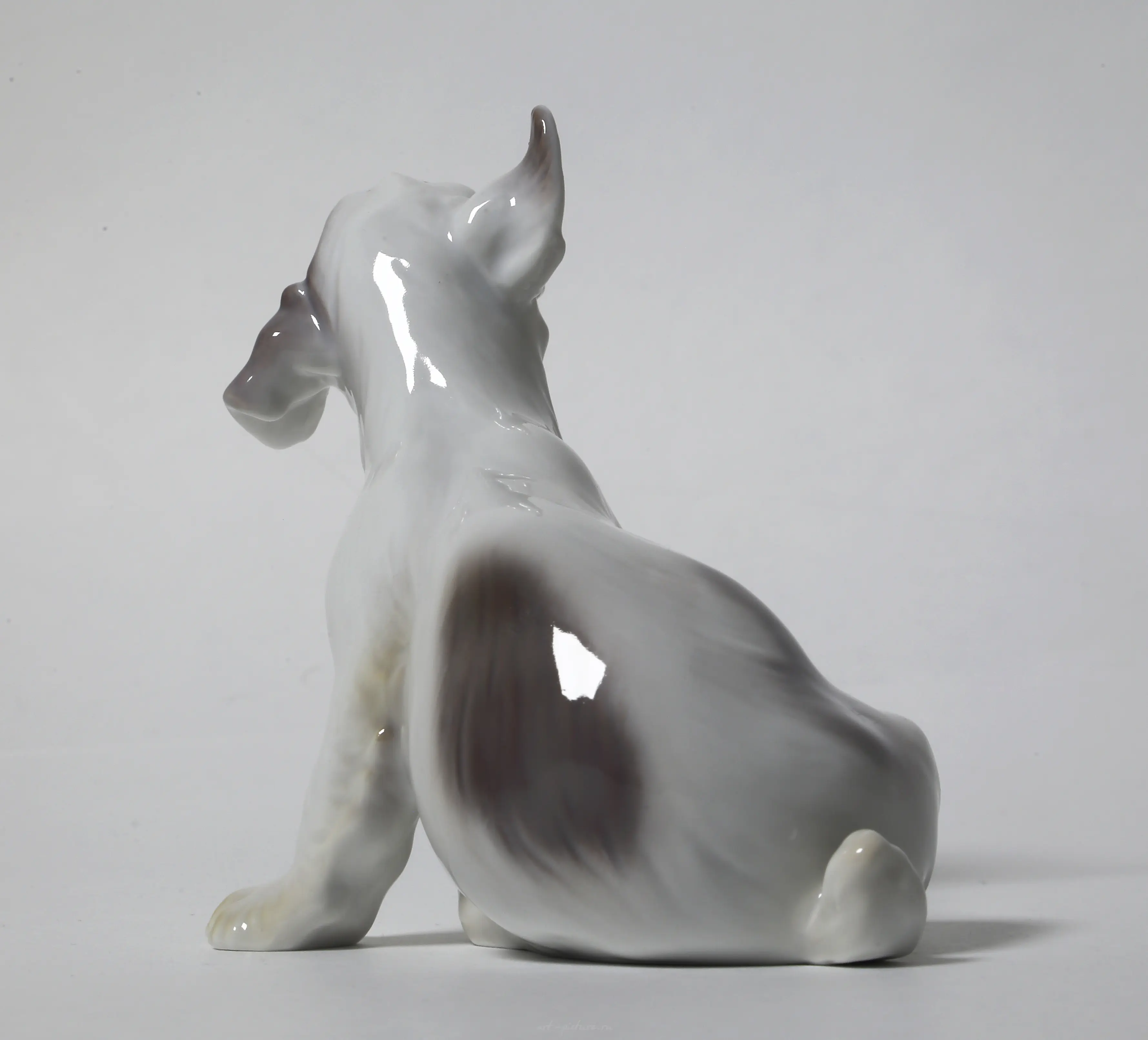 A puppy of the Sealyham Terrier. Denmark, Copenhagen, Bing & Grondahl. — photo 6