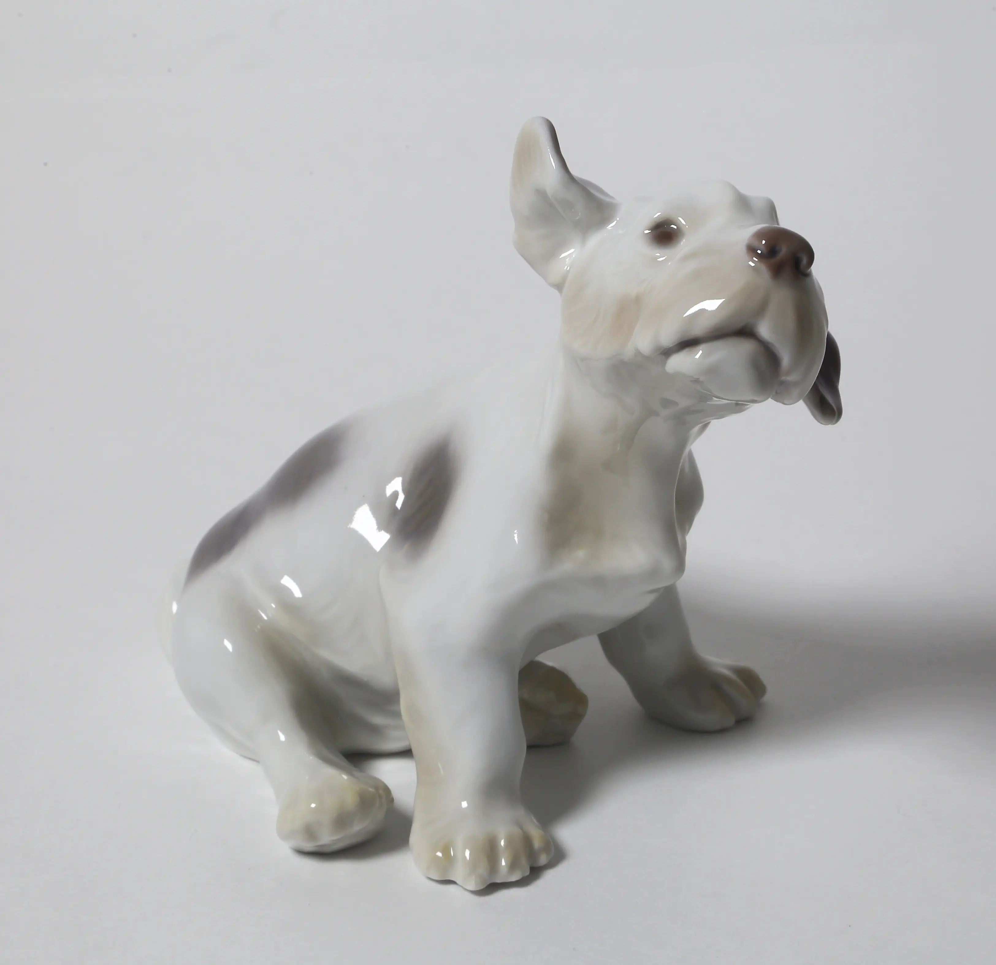 A puppy of the Sealyham Terrier. Denmark, Copenhagen, Bing & Grondahl. — photo 2