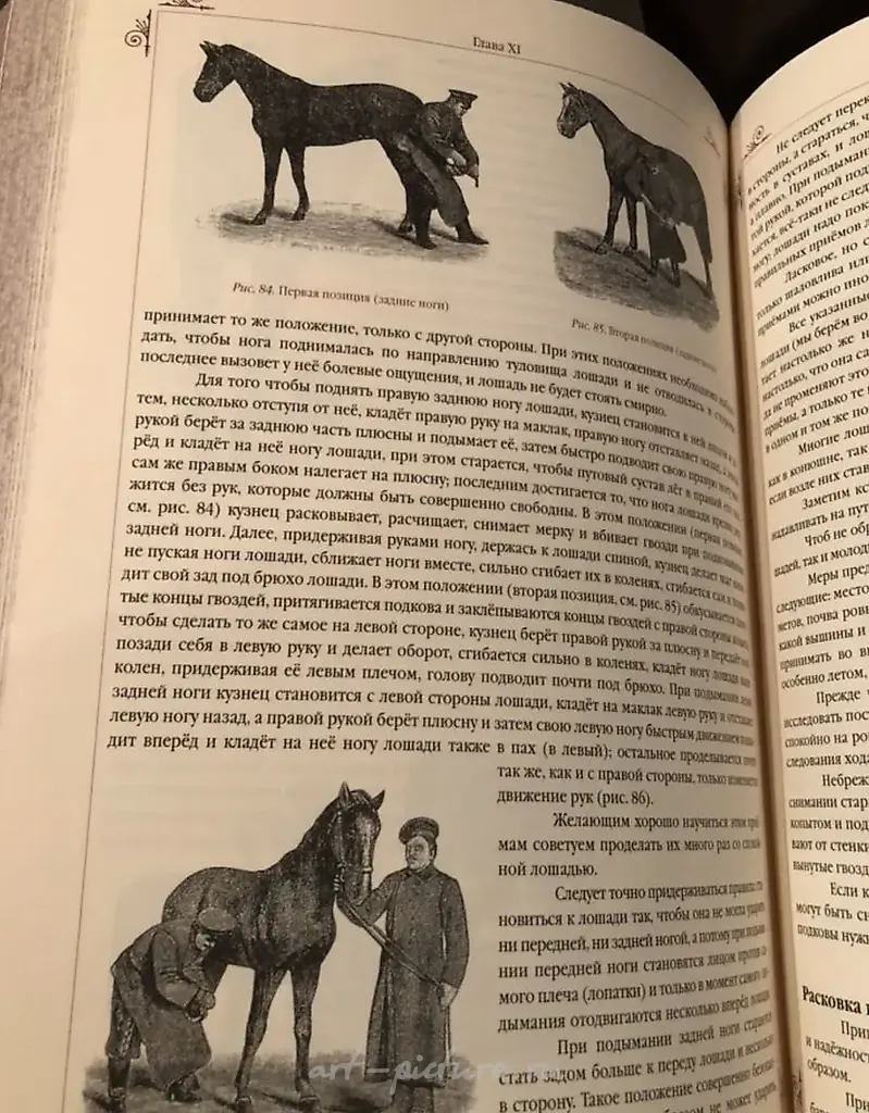 马的书。每位养马者和马术爱好者的案头书。乌鲁索夫 S. P. — 照片 5