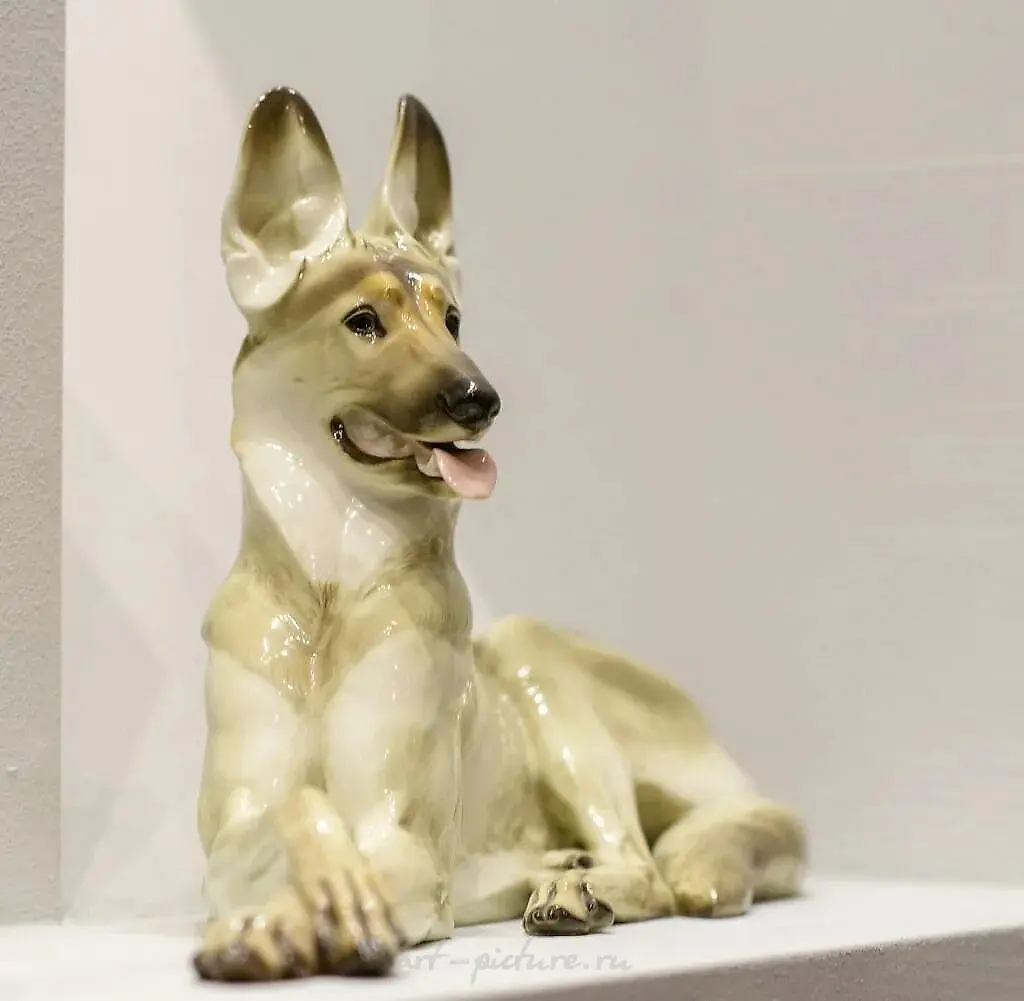 法罗罗牧羊犬 大型德国牧羊犬 模型编号 76 阿拉赫 西奥多·凯尔纳 — 照片 4