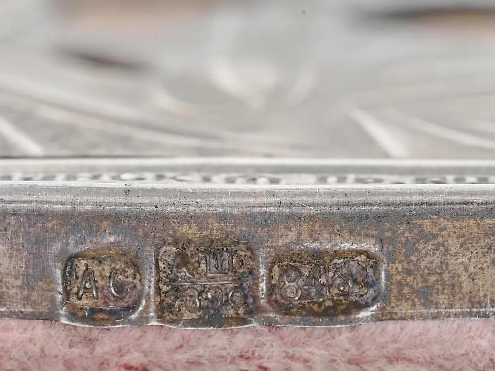 古董俄罗斯圣母卡西亚尼科娃的图标，镶嵌在银制外框中。 — 照片 5